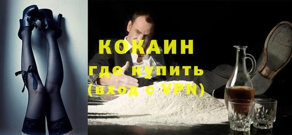 мдпв Гусев