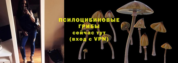 ешки Гусиноозёрск