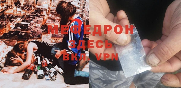 мдпв Гусев