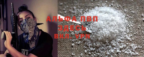 прущие грибы Осинники
