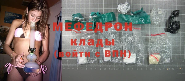 мдпв Гусев