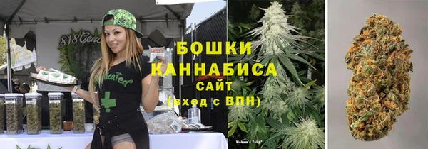 гидропоника Гусь-Хрустальный
