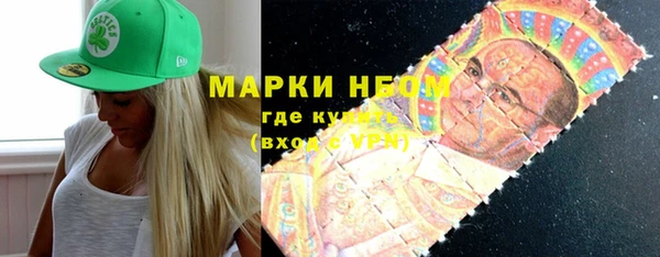 мдпв Гусев