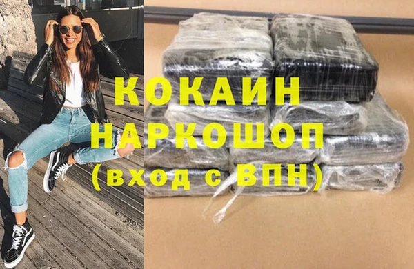 мдпв Гусев