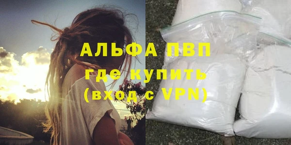 мдпв Гусев